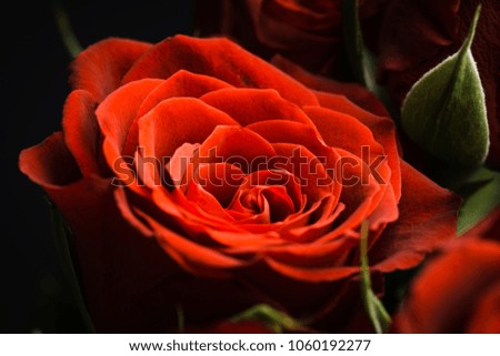 Bouquet with red roses on the rustic background. Shallow depth of field.