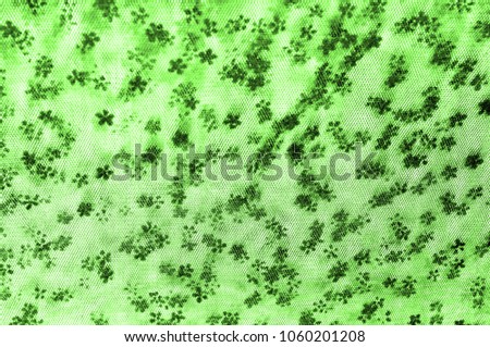 green lace on white background. Listen to the thin and feminine look? Its use is endless from beach covers to beautiful lining; it's a knitted lace that does it all!