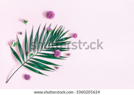 Summer flowers composition. Green tropical leaf and pink flowers on pink background. Summer concept. Flat lay, top view, copy space
