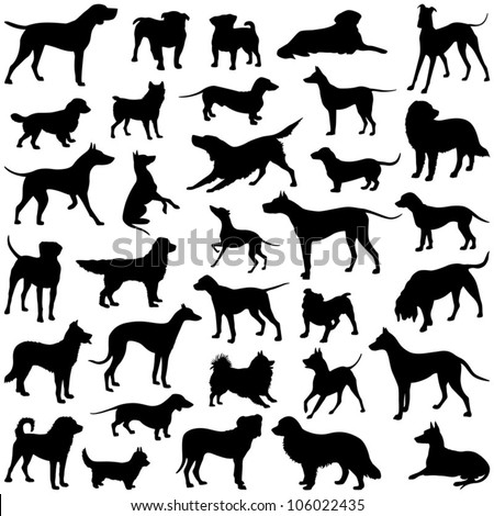 Dog collection - vector silhouette