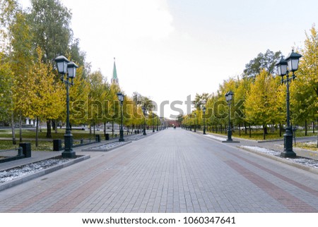 Colorful foliage in the autumn park, Moscow, Russia.