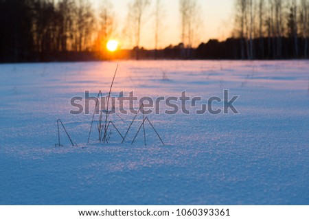 Wintry sunset. Hay as a silhouette, purple snowy surface. Sun going down in the background.