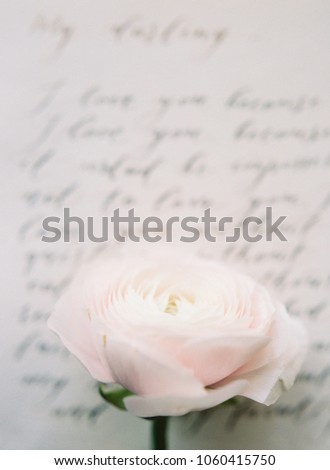 Valentines day, proposal idea. Handwriting love letter and a flower in white and rosy tones. Beauty blog concept. 