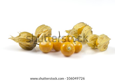 Physalis on the white background