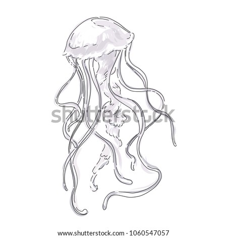 Jellyfish vector sketch drawn in black and white watercolor style for modern card design