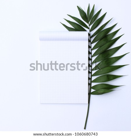 Palm leaves and a paper notebook with free space for text. minimalism, design, idea.