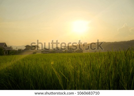 Field and sunset at Pua is a district in the central part of Nan Province, northern Thailand
