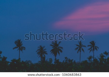 Silhouette coconut tree on beautiful sunrise sky