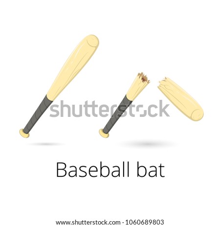 Baseball bat and broken baseball bat