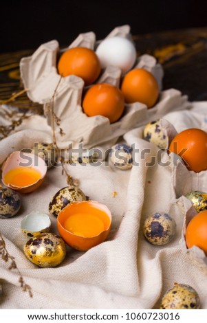 Yolks of broken chicken egg in eggshell and several chicken and quail eggs decorated with dried branches on vintage style wooden table covered with crumpled sackcloth. Commercial design.