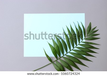 palm leaves on a pastel colorful background and a sheet of paper. photo in the style of minimalism. fashionable concept. a lot of free space for text.