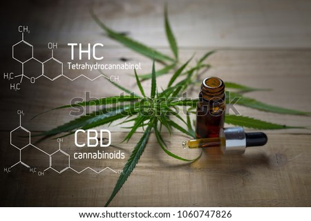 Medicinal cannabis with extract oil in a bottle of  Formula CBD THC Royalty-Free Stock Photo #1060747826