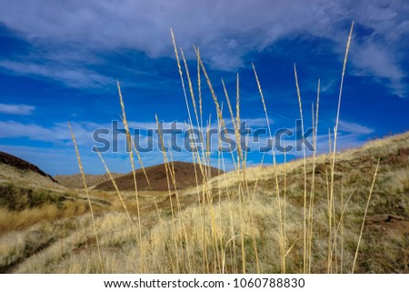 Beautiful Blue Skies in The Owyhee Canyon Land of Scenic Idaho