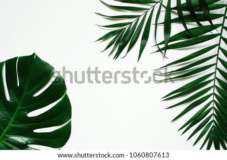 Green flat lay tropical palm leaf branches on white background. Room for text, copy, lettering. Royalty-Free Stock Photo #1060807613