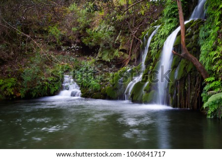 A horizontal landscape image of a pond with clear water at the bottom of two waterfalls falling over green moss and foliage at the bottom of largest green canyon, Blyde River Canyon in South Africa. Royalty-Free Stock Photo #1060841717