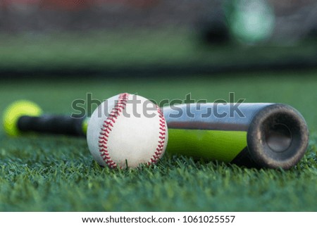 Landscape view of a baseball and a baseball bat laying on green grass, front of a training net