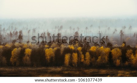 Fog over the forest of the National Park Elk Island, Balashikha, Russia. After the disaster, many trees died.
