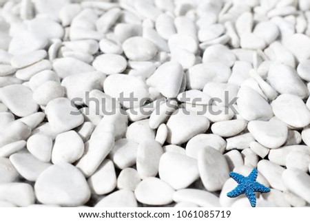 a blue starfish on white small stones on a background on the beach
