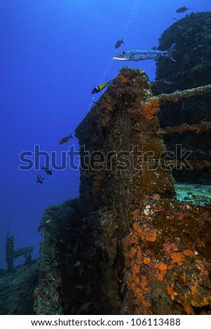 The front of the superstructure on the USCG Duane in Key Largo, Florida. A sunken shipwreck in the John Pennekamp State Park. With fish swimming all around the corals. Royalty-Free Stock Photo #106113488