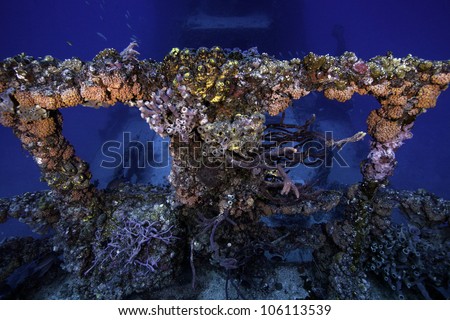Coral growth on the USCG Duane in Key Largo, Florida. An intentionally sunken shipwreck in the 1980's in the John Pennekamp State Park. With a blue water background and fish swimming around the wreck. Royalty-Free Stock Photo #106113539