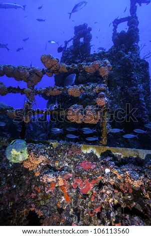 Coral growth on the USCG Duane in Key Largo, Florida. An intentionally sunken shipwreck in the 1980's in the John Pennekamp State Park. With a blue water background and fish swimming around the wreck. Royalty-Free Stock Photo #106113560
