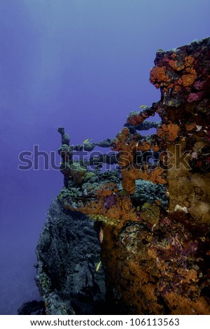Coral encrusted railings on the USCG Duane in Key Largo, Florida. An underwater shipwreck in John Pennekamp State Park. Royalty-Free Stock Photo #106113563