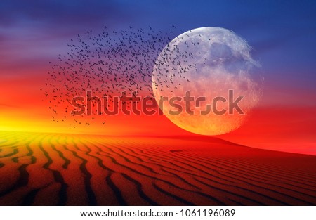 Full moon rising during sunlight at the Desert with silhouette of group of birds "Elements of this image furnished by NASA "