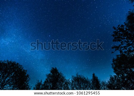 trees milkyway stars space astro