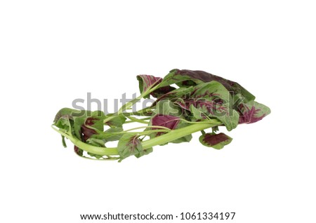 Chinese red spinach klaroen large