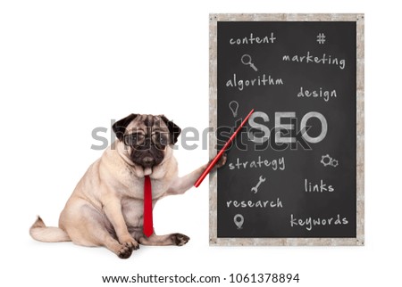 business pug dog holding red pointer, pointing out  search engine optimization, SEO, performance strategy, hand drawn on chalkboard, isolated on white background