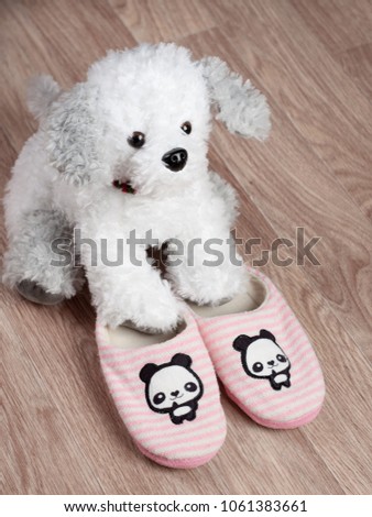 Soft toy dog brought the Slippers