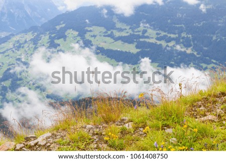 View into the valley Montafon, Austria