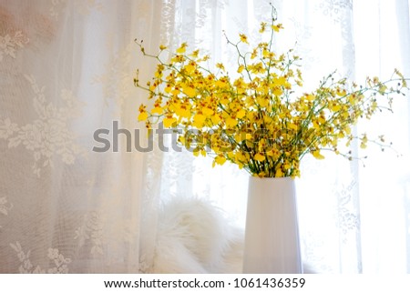 Yellow dancing orchid in front of white background

