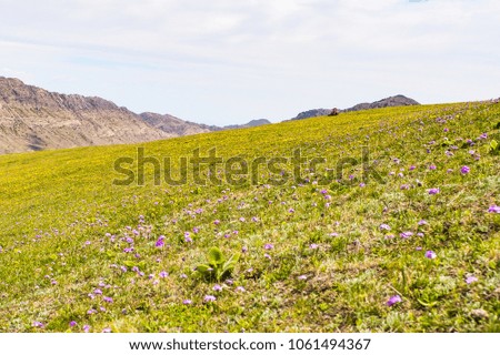 Spring Scenery of Hastia Scenic Area, Hot Spring County, Bortala, Xinjiang, China