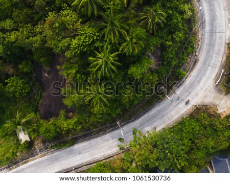 view of the road in the jungle view from the drone