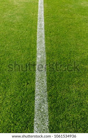 The white Line marking on the artificial green grass soccer field.