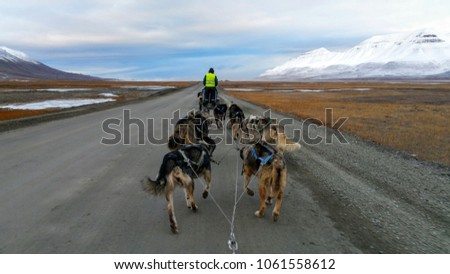 Dog sledding in the arctic. Photo taken just outside Longyearbyen on the island of Spitsbergen on the Svalbard archipelago.  Royalty-Free Stock Photo #1061558612