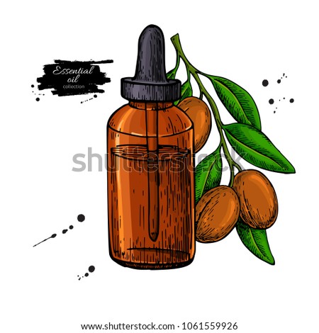 Argan essential oil bottle hand drawn vector illustration. Isolated plant drawing for Aromatherapy treatment, medicine, beauty spa, cosmetic ingredient. Great for label, flyer, packaging design.