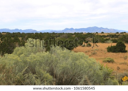 American desert scene with mountain background