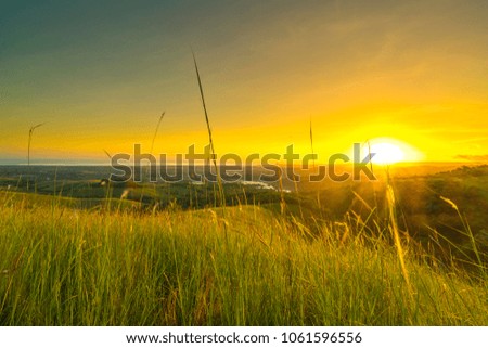 Green hill with sunrise background