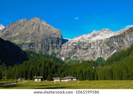 Trekking in the  around Dolomites mountains - site Trentino Alto Adige