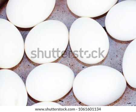 A few white eggs on a gray background, close-up