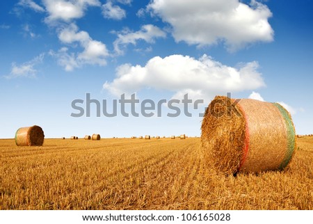 big round bales of straw on farmland