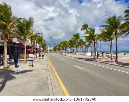 Beach town palm trees