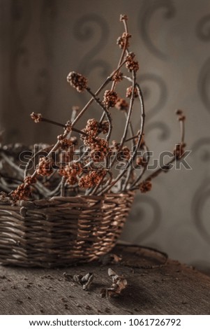 
basket of branches with kidneys