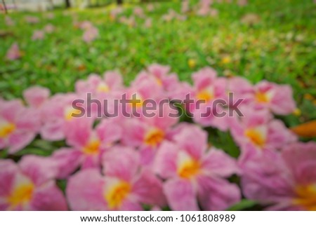 Abstract. Blurred pink flowers on green grass as a background. Top view. nature wallpaper concept. Empty. 