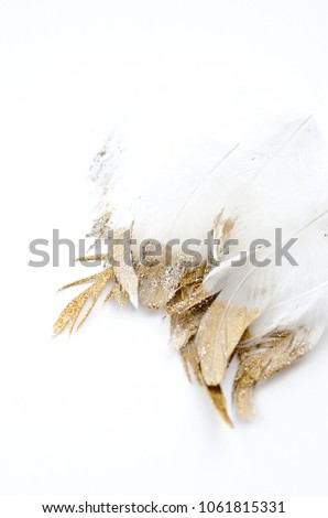 golden and silver glitter feathers on white background