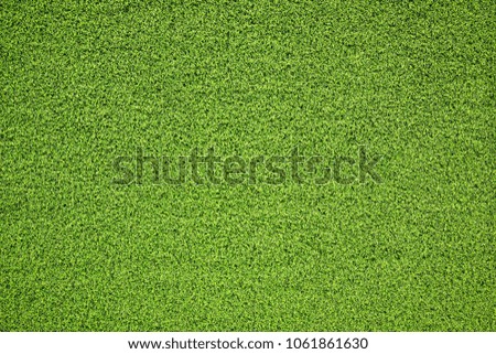 Green Grass Background and Texture