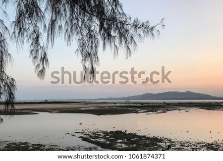 Scenery of sunrise in the dawn, on the beach of southern Thailand with the sand flats in mountain background and the pine leaves on the foreground in lowland forest, slow life and keep calm.