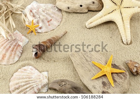 Close up of marine items on a sand.